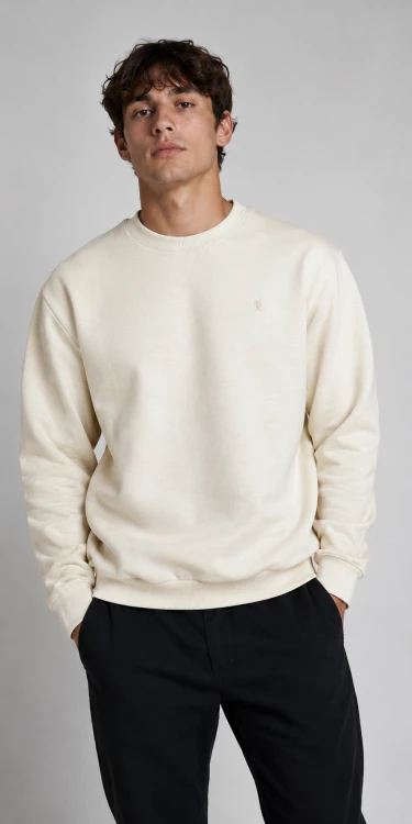 Minimalistyczna męska bluza crewneck w kolorze ecru wykonana z wysokiej jakości bawełny. Klasyczny fason premium zapewnia wygodę, trwałość oraz uniwersalny styl pasujący do codziennych outfitów.